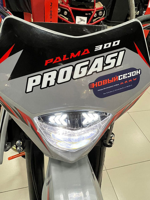 Мотоцикл эндуро PROGASI Palma 300