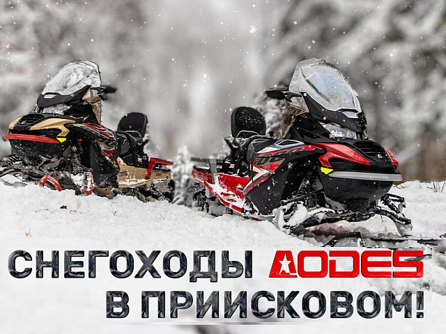 Снегоходы AODES в Приисковом! Полный обзор Snowcross 1000 WT и SWT